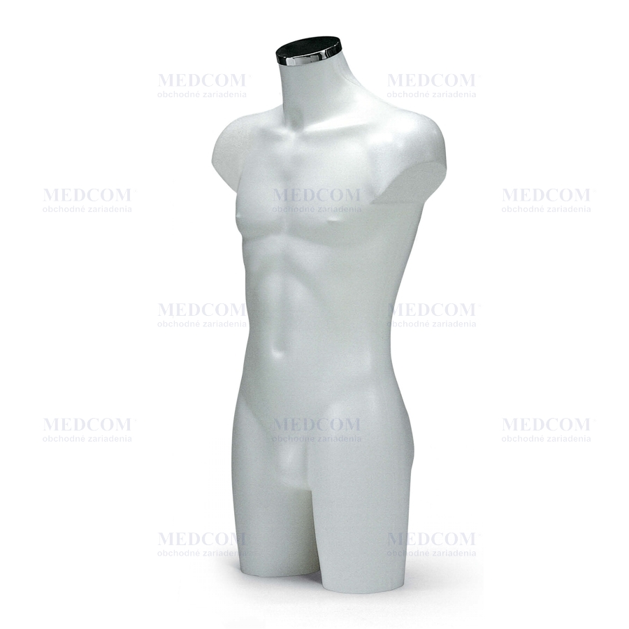 Bust male torso, plastic